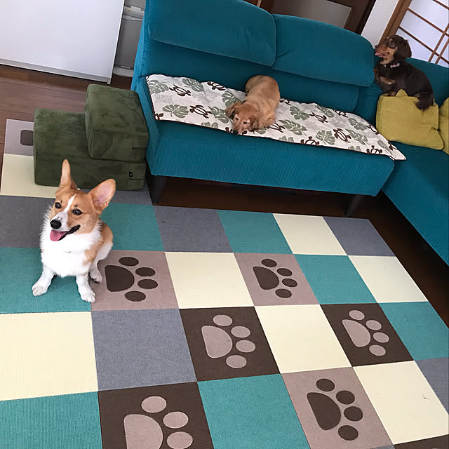chocoluckyさんの実例写真