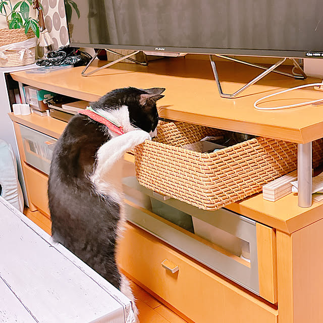 moolさんの部屋