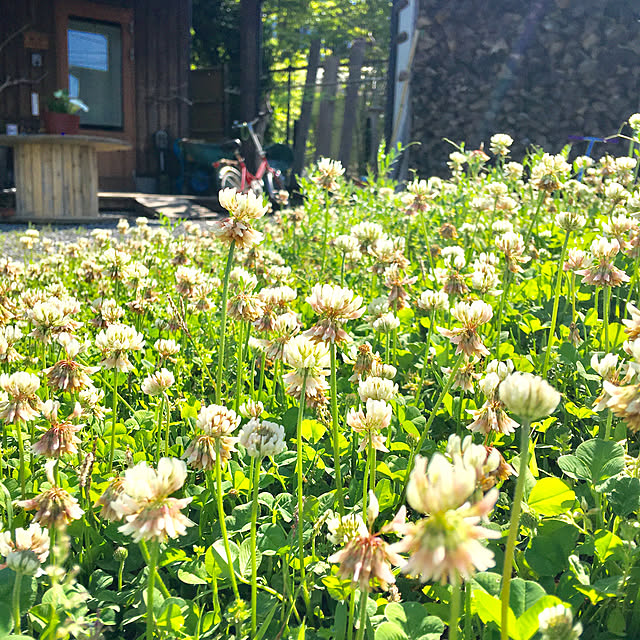kozakura10さんの実例写真