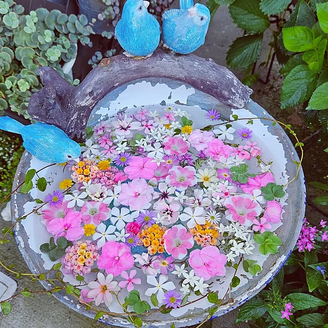 mocomocoさんの実例写真