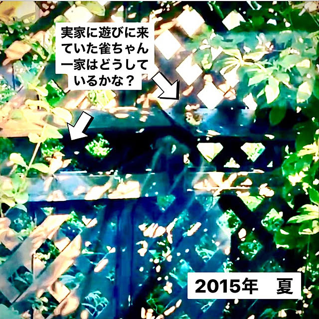 funiさんの実例写真