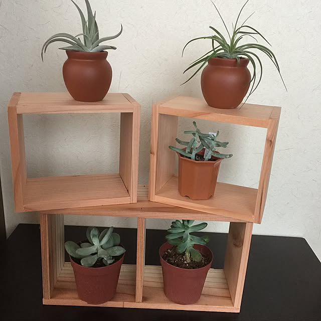 wakahiroさんの実例写真