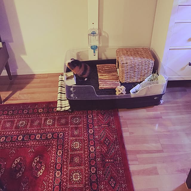 TMMさんの実例写真