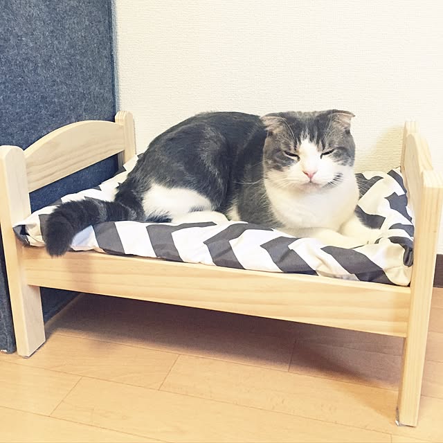 tansukeさんの実例写真