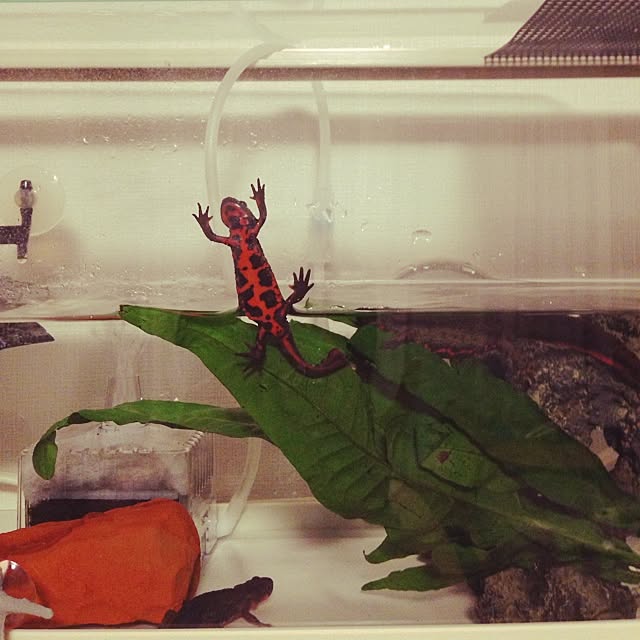 ALPSさんの実例写真