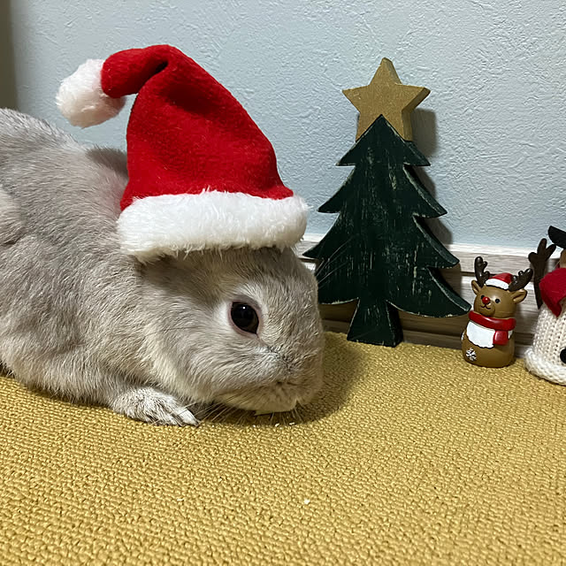 ka2mi2ko4さんの部屋