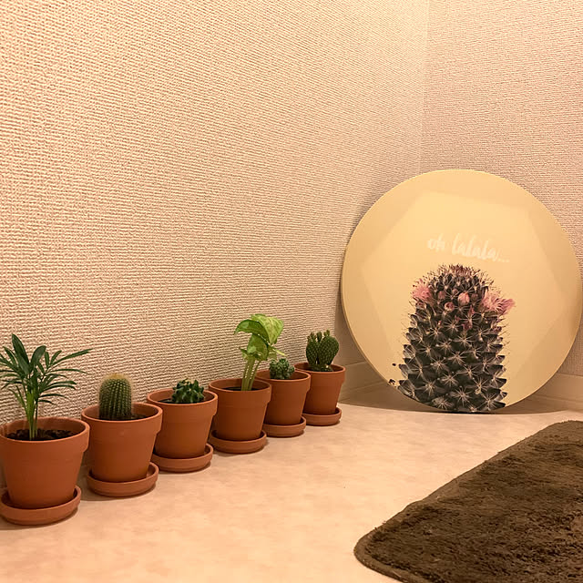 saranyさんの実例写真