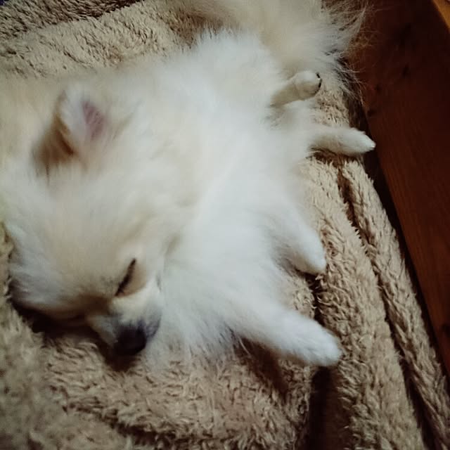 yukaさんの実例写真