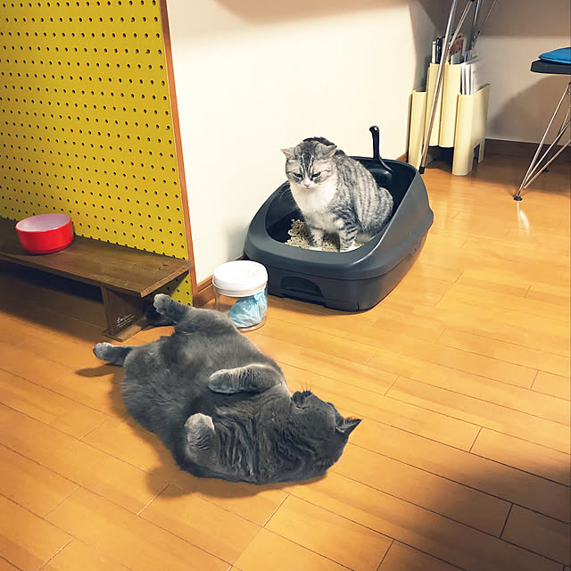 Shojiさんの実例写真