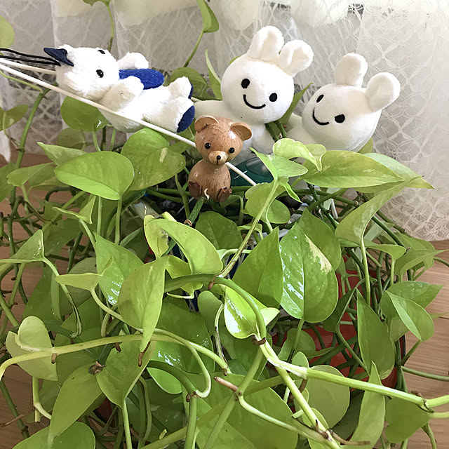 fuyiqian1026さんの実例写真