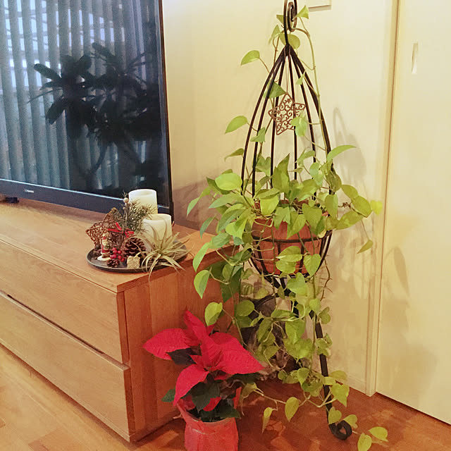 maroさんの実例写真