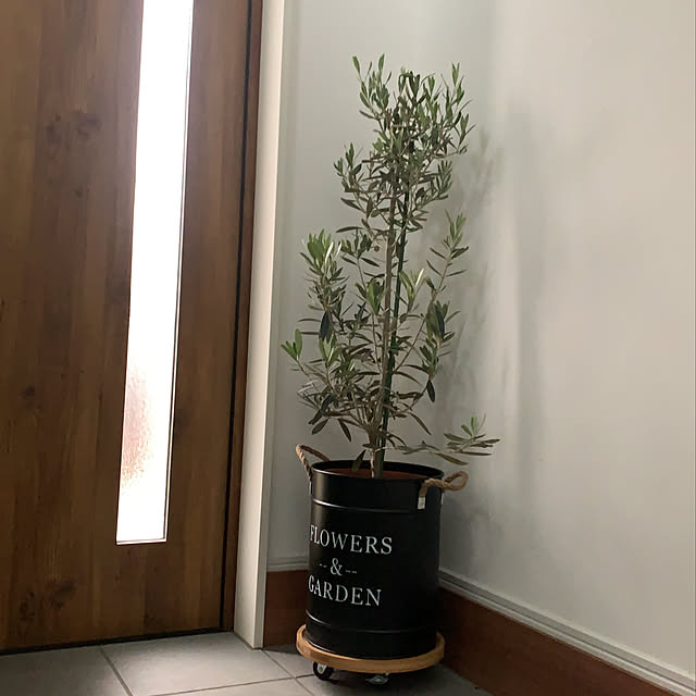 sorakuruさんの実例写真