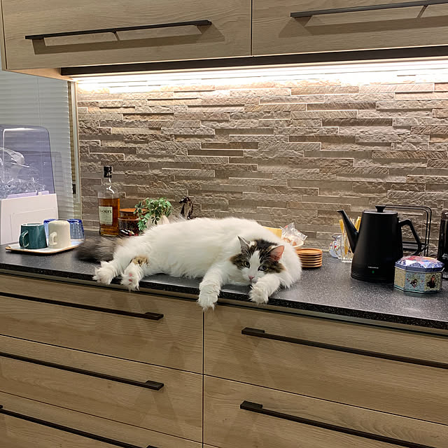 tinさんの実例写真