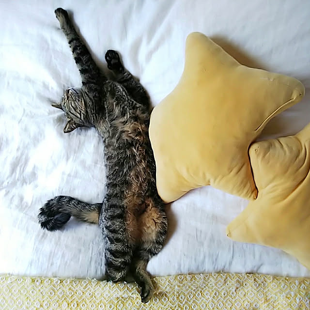 weさんの実例写真