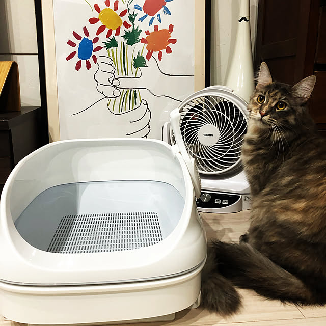 mayumiさんの実例写真