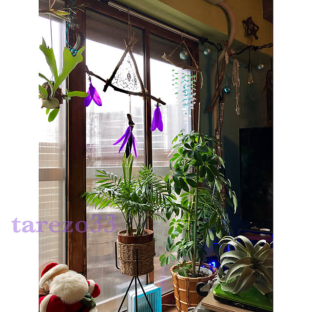tarezo33さんの実例写真