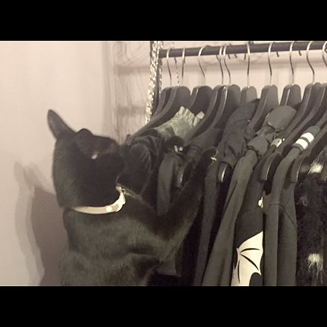 KATE666さんの実例写真