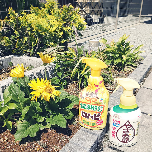 tan5さんの実例写真