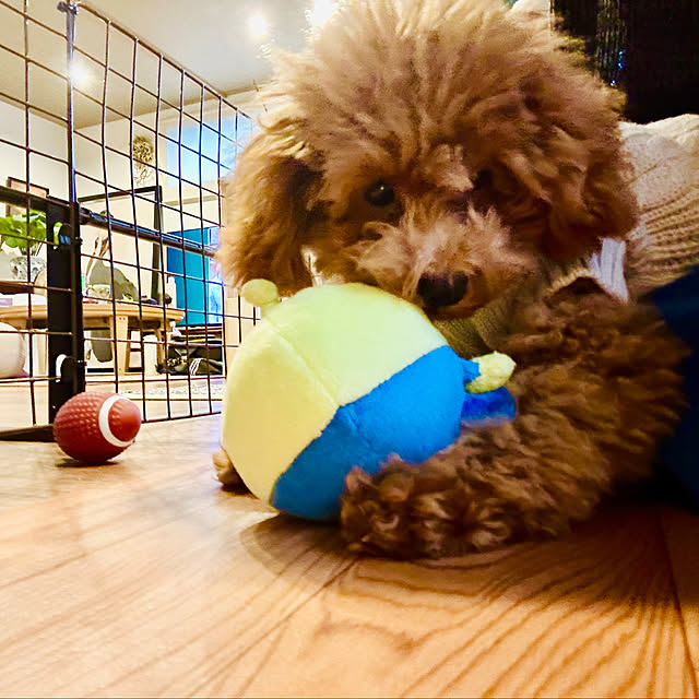roenさんの部屋