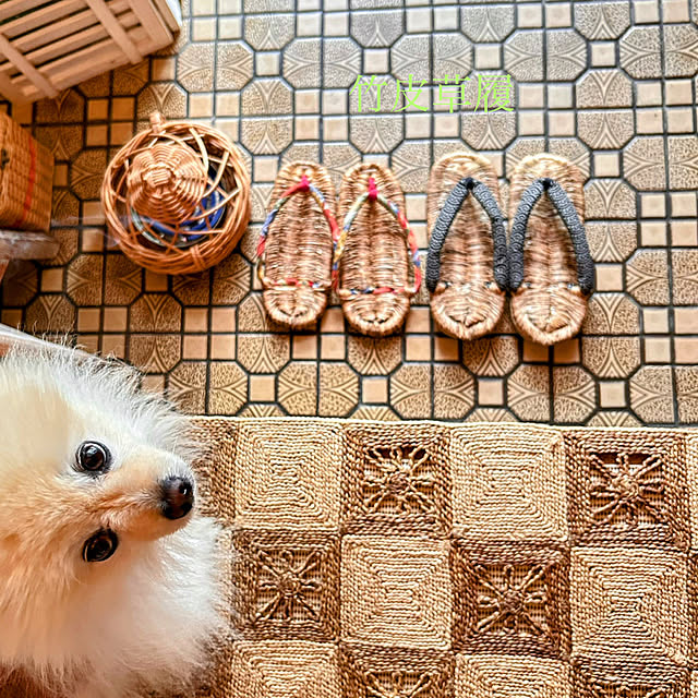 akaidarumaさんの部屋