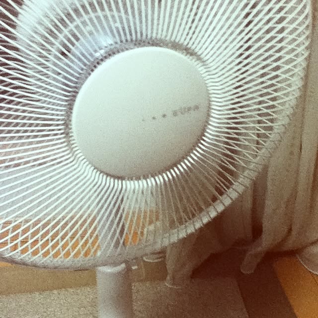 haruさんの実例写真