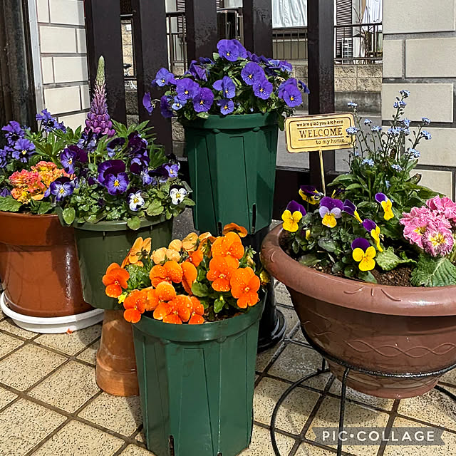 Smilkazuさんの実例写真