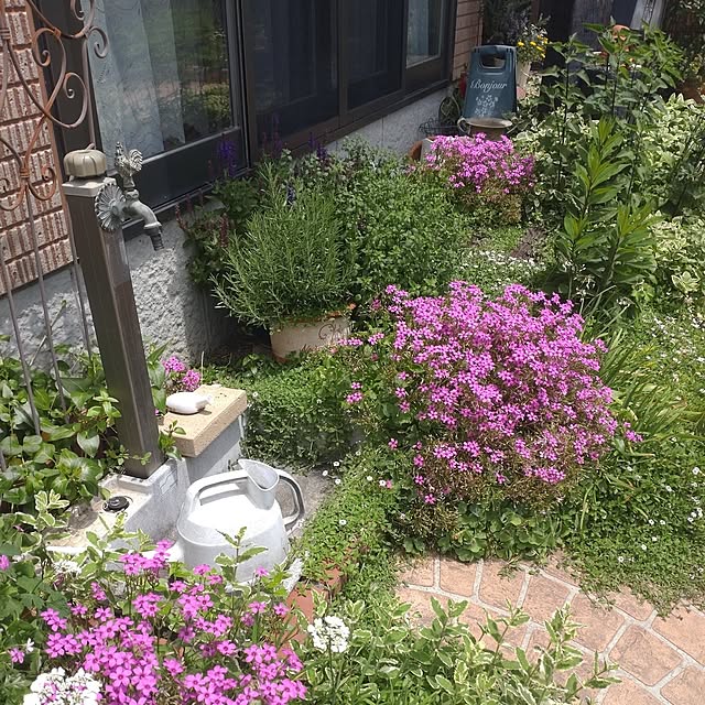 Hujikoさんの実例写真