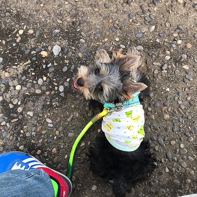 oceanさんの部屋