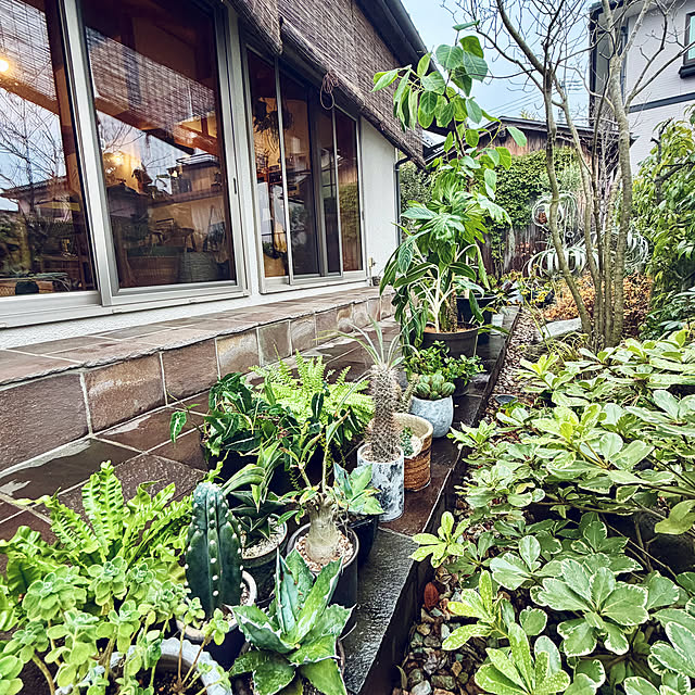 onsix777さんの部屋