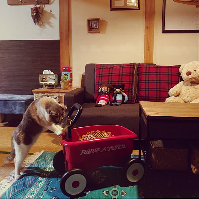 fukuさんの実例写真
