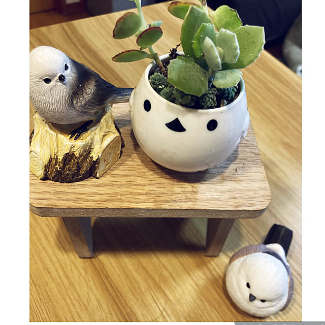 CoCo0617さんの部屋