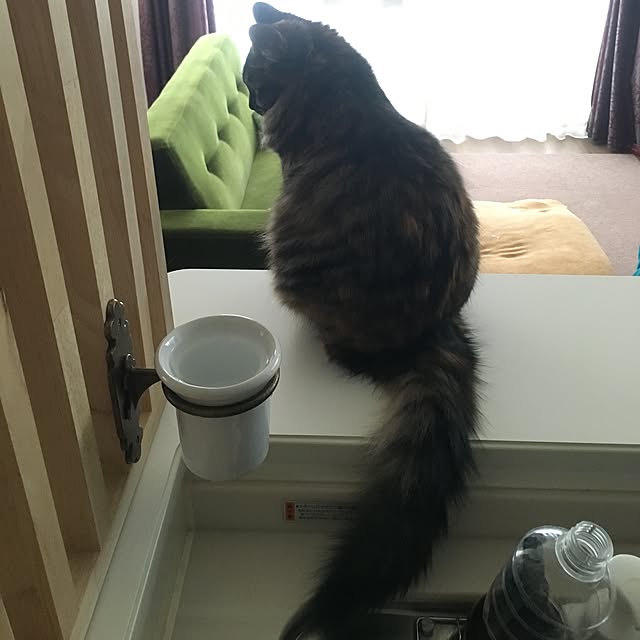 mikomaruさんの実例写真