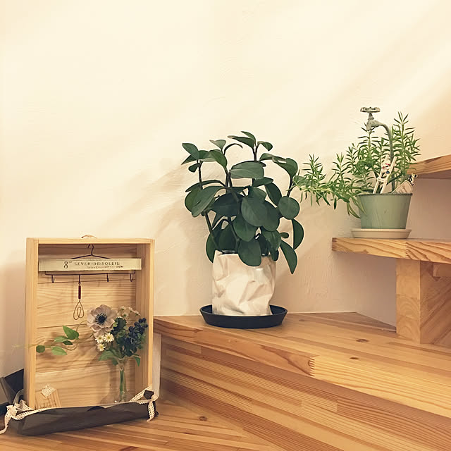 noririnさんの実例写真