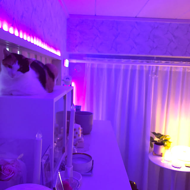 kanaさんの実例写真
