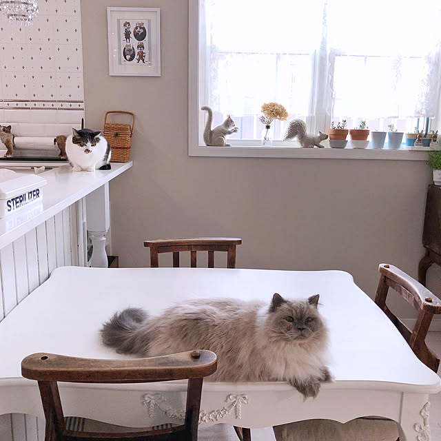 yuchiさんの実例写真