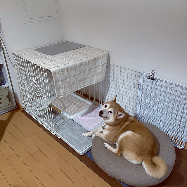 shizu2380さんの実例写真