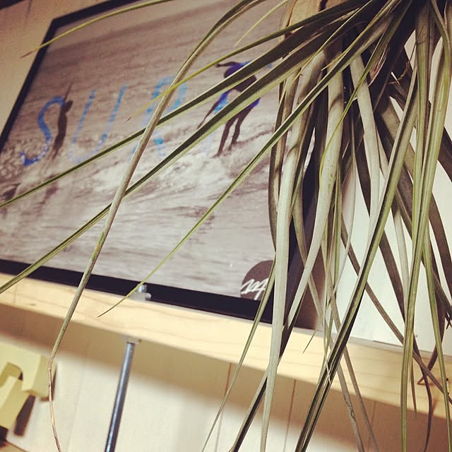 DRIFTWOOD213さんの実例写真