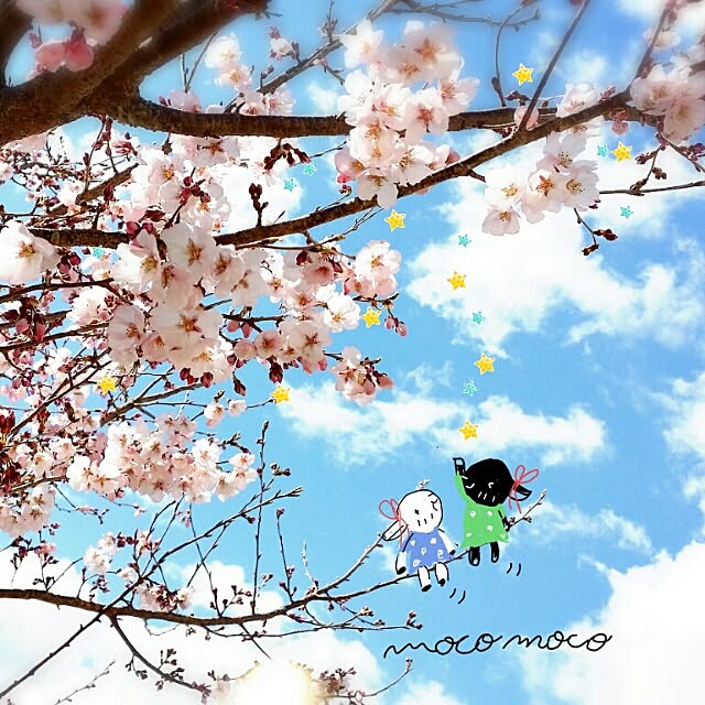 moco-mocoさんの実例写真