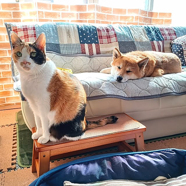 nanaさんの部屋