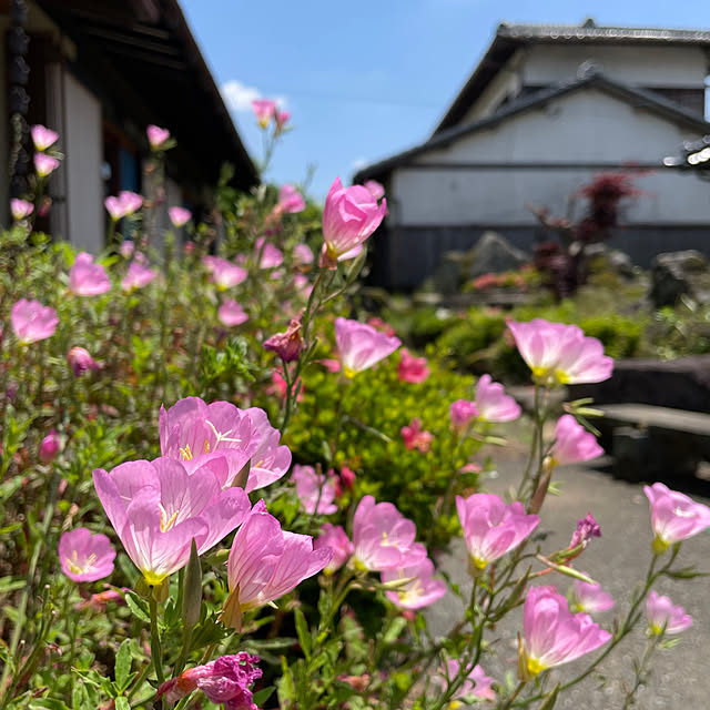 miyamiyaさんの実例写真