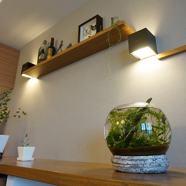 kinako_shiro_ginさんの実例写真
