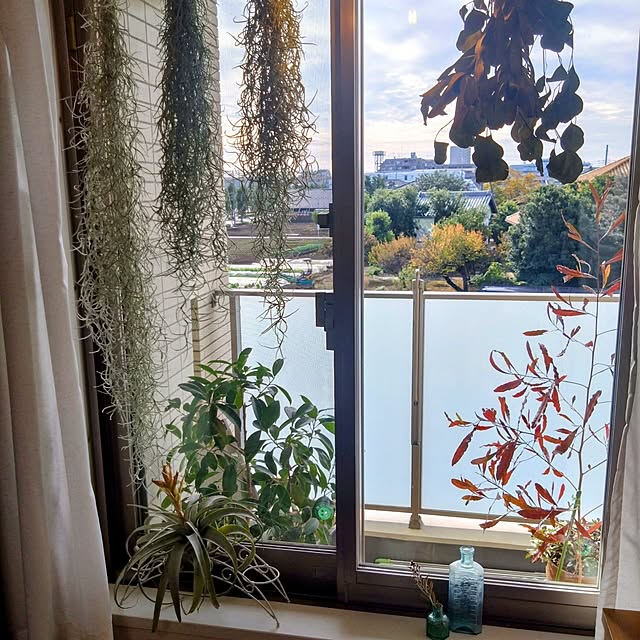 kerochanさんの部屋