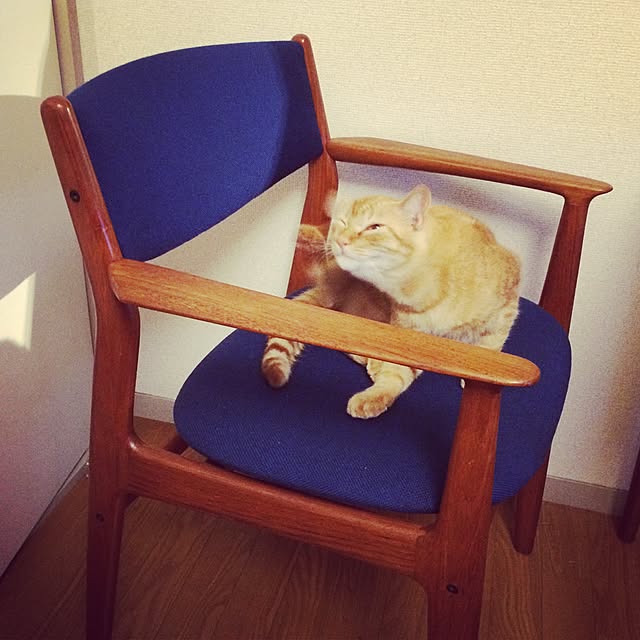 otanokurashiさんの実例写真