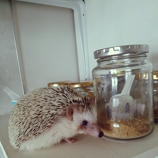 kuruさんの実例写真