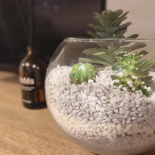 100均/多肉植物/ダイソー/ハンドメイド/棚のインテリア実例 - 2019-07-12 13:58:17