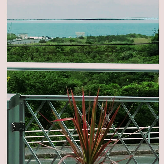 kimuneisanさんの実例写真