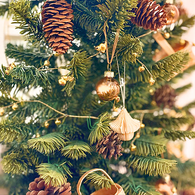 Rさんの実例写真