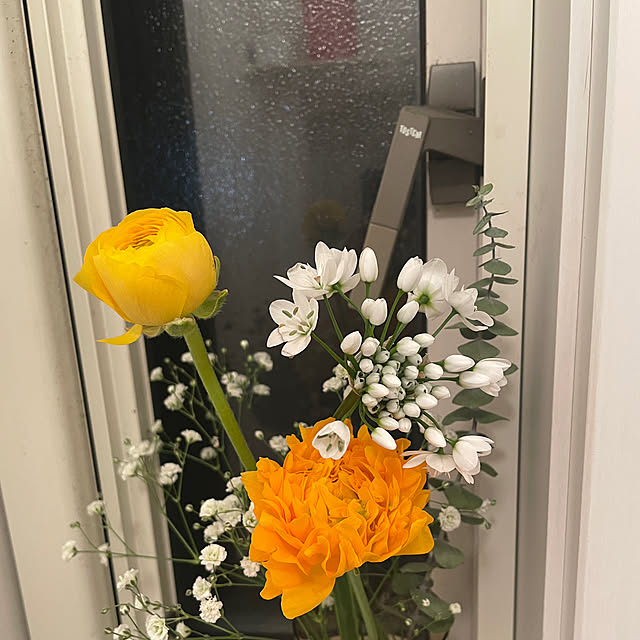 nattunさんの部屋