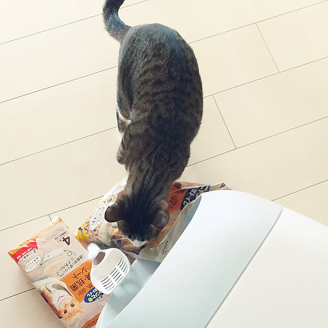 hanacocoさんの実例写真