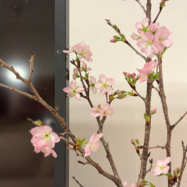 A.Iさんの部屋
